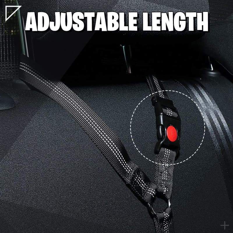 Pet Elastic Safety Rope