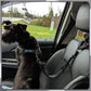 Pet Elastic Safety Rope