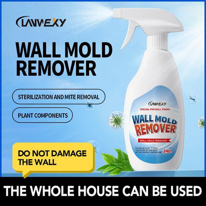 🔥Time-Limited Promotion🔥🔥 While Stocks Last! Wipe Away Mold for Good! 🎉