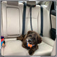 Pet Elastic Safety Rope