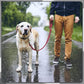 Pet Elastic Safety Rope
