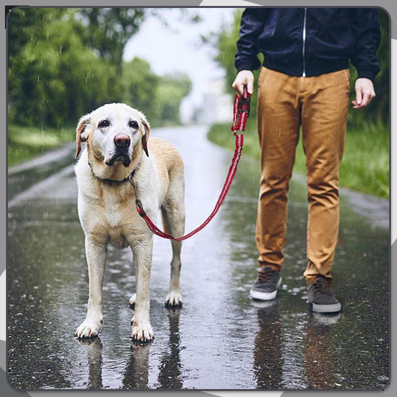Pet Elastic Safety Rope