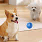 🔥Last Day Promotion 49% OFF🐶Automatic Smart Teasing Dog Ball That Can't be Bitten