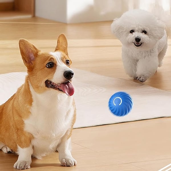 🔥Last Day Promotion 49% OFF🐶Automatic Smart Teasing Dog Ball That Can't be Bitten