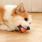 🔥Last Day Promotion 49% OFF🐶Automatic Smart Teasing Dog Ball That Can't be Bitten