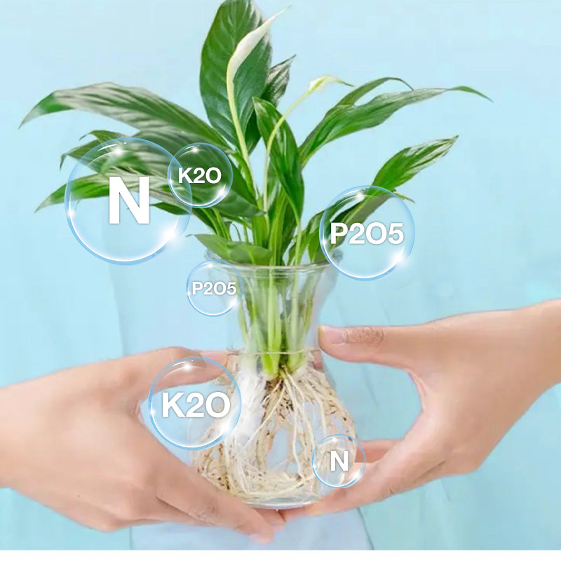 ✨Buy 2 Get 1 Free✨Hydroponic Nutrient Solution for Plant Growth