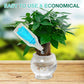 ✨Buy 2 Get 1 Free✨Hydroponic Nutrient Solution for Plant Growth