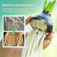 ✨Buy 2 Get 1 Free✨Hydroponic Nutrient Solution for Plant Growth