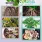 ✨Buy 2 Get 1 Free✨Hydroponic Nutrient Solution for Plant Growth