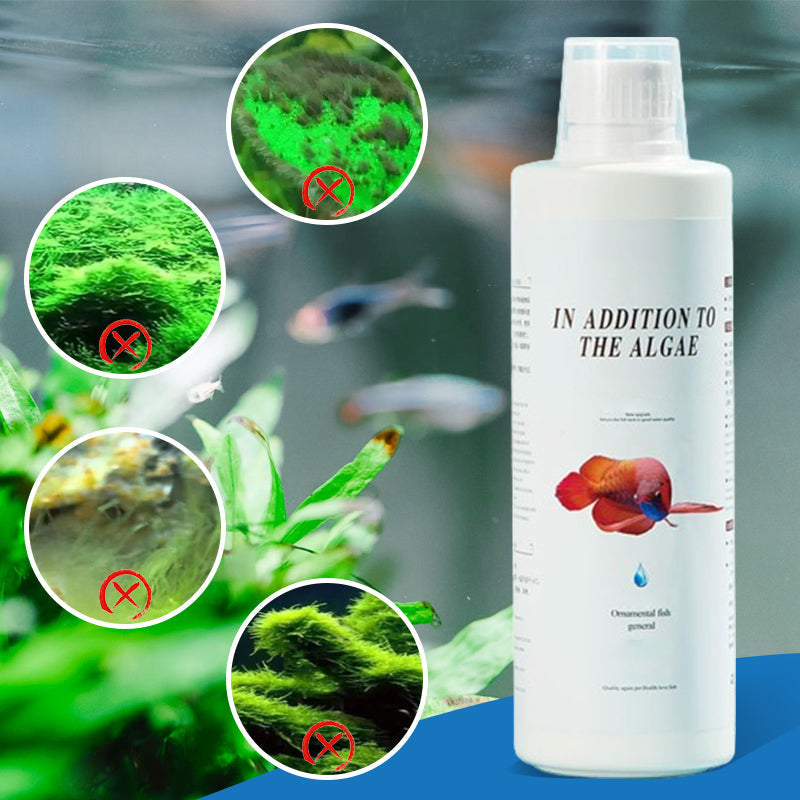 🎁 Hot Sale 50% OFF 🔥Effective Algae Control for Aquarium