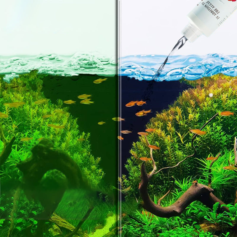 🎁 Hot Sale 50% OFF 🔥Effective Algae Control for Aquarium