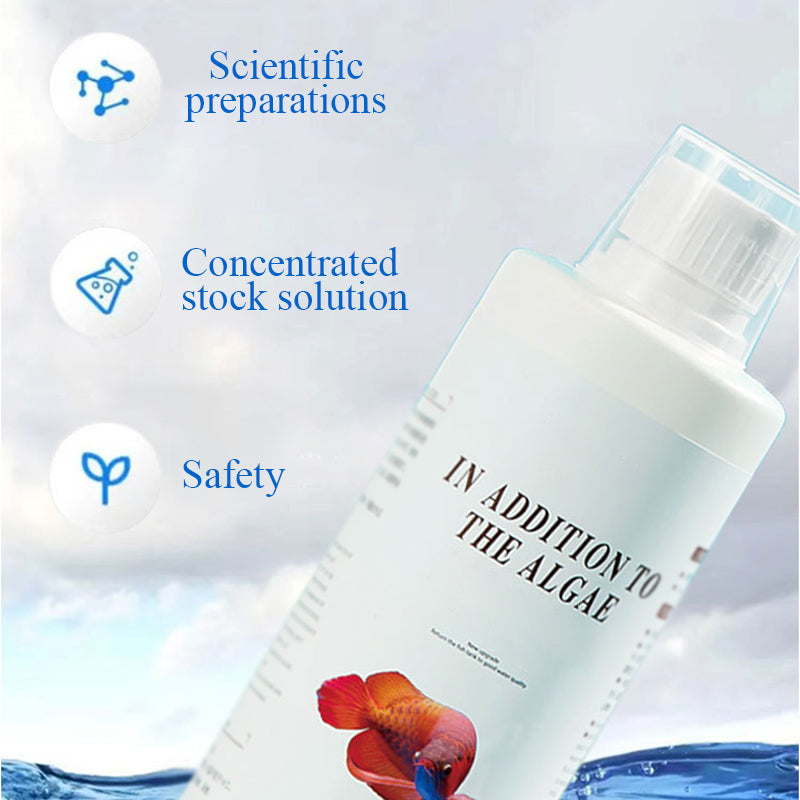 🎁 Hot Sale 50% OFF 🔥Effective Algae Control for Aquarium