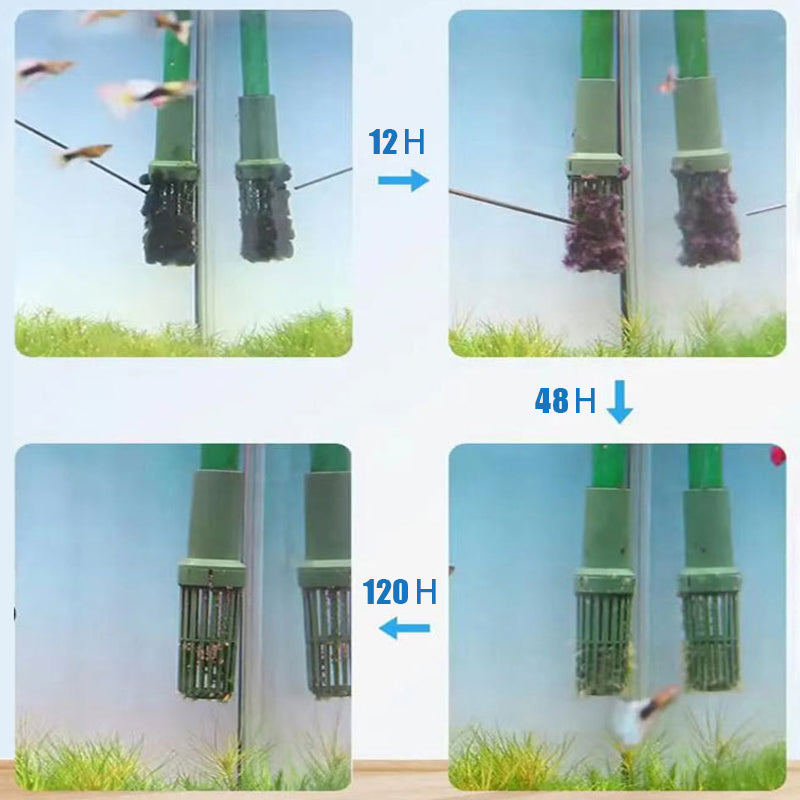🎁 Hot Sale 50% OFF 🔥Effective Algae Control for Aquarium