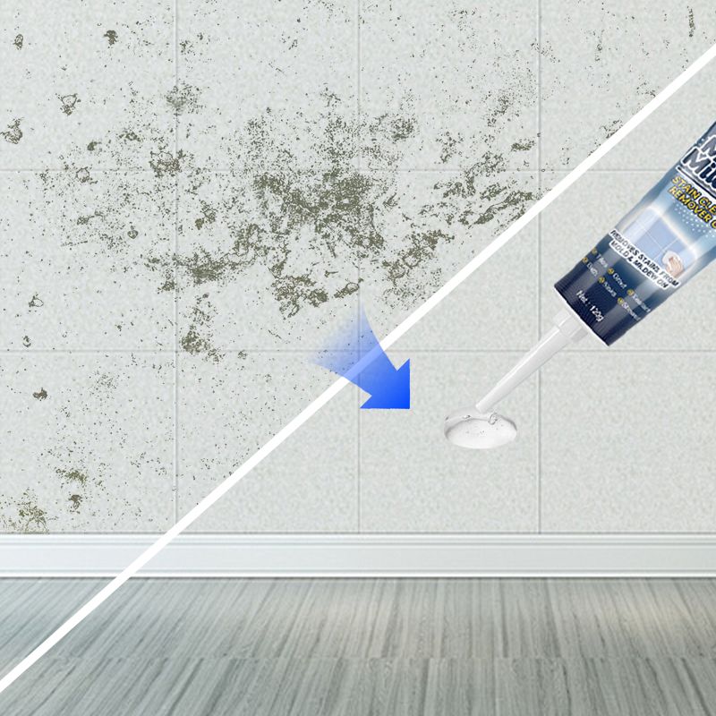 Miracle Mould - Multi-surface Mould Remover