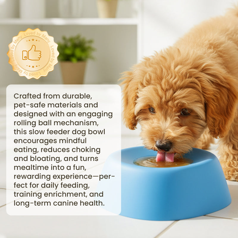 ⏳Limited-time 50% off🐶🦴Roll-N-Lick Dog Bowl: The Ultimate Liquid Treat FeederAnti-gulping bowl for dogs with rolling ball