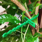 Garden Multi-Function Adjustable Flexible Plant Ties