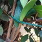 Garden Multi-Function Adjustable Flexible Plant Ties