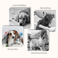 Pet Grooming Glove Wipes for Dogs & Cats - 6PCS/Pack