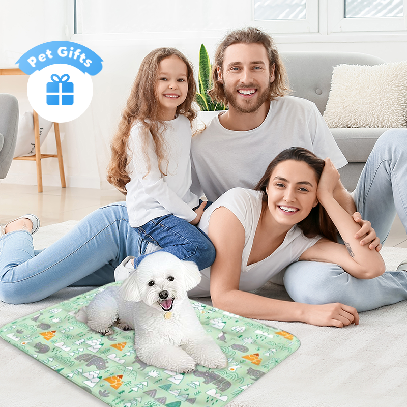 Durable Cartoon Cooling Pet Mat