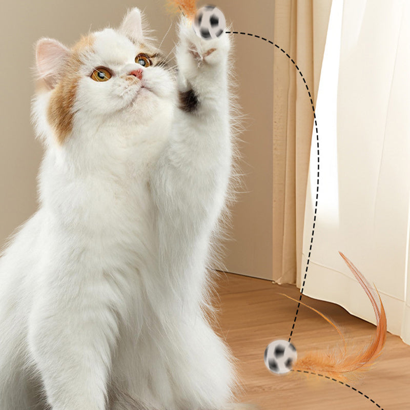 Interactive Cat Bouncy Ball with Feather