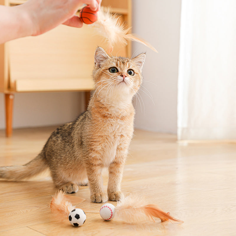 Interactive Cat Bouncy Ball with Feather