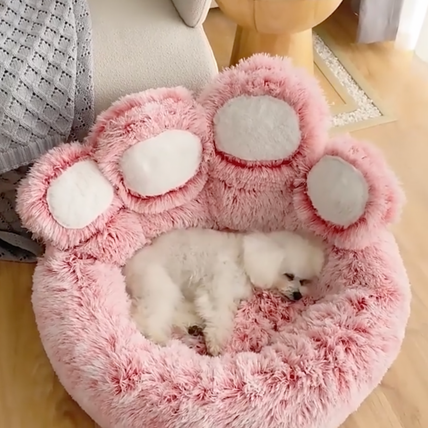 🐶Soothing Paw Bed