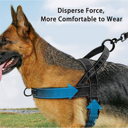 🐕 50% OFF! 🛡️ Heavy-Duty Tactical Dog Harness – No-pull & no-choke ✨