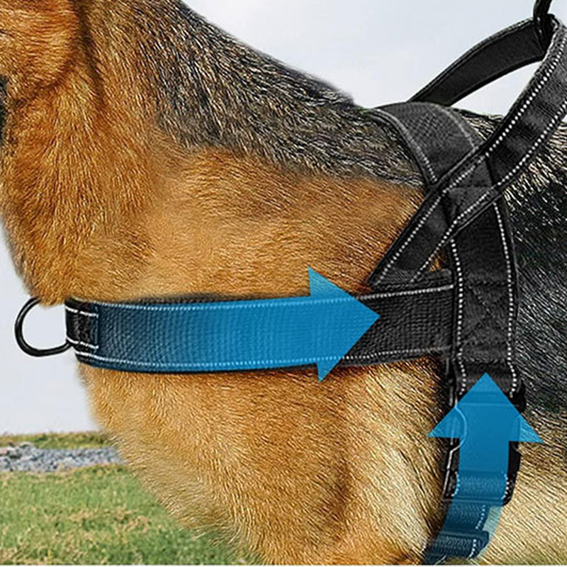 🐕 50% OFF! 🛡️ Heavy-Duty Tactical Dog Harness – No-pull & no-choke ✨