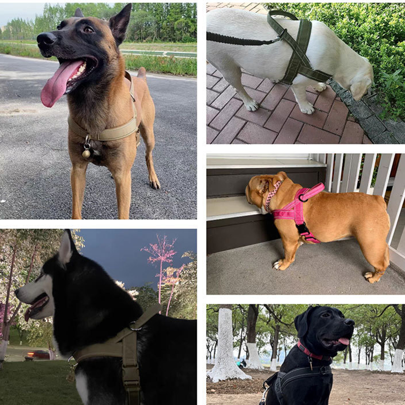 🐕 50% OFF! 🛡️ Heavy-Duty Tactical Dog Harness – No-pull & no-choke ✨
