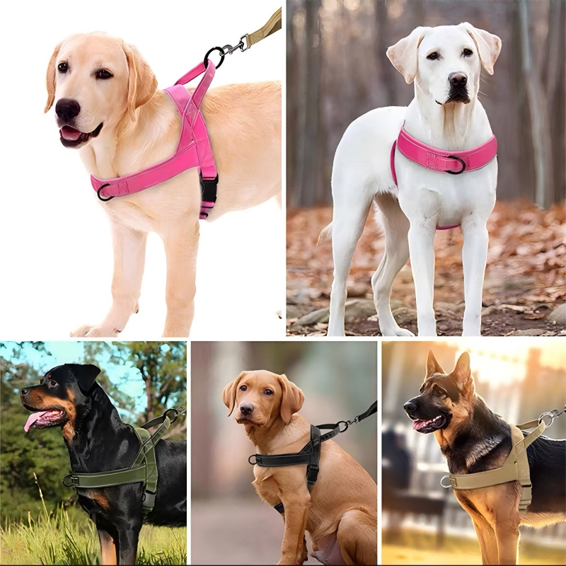 🐕 50% OFF! 🛡️ Heavy-Duty Tactical Dog Harness – No-pull & no-choke ✨