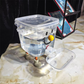 Pet Water Dispenser with Large Capacity