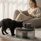 Smart Motion-Sensing Cat Water Fountain