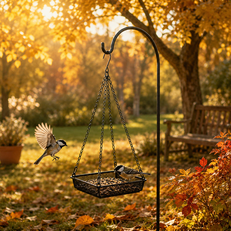 🐦 Save 50%! 🍽️ Hanging Bird Feeder Tray – Easy mount & garden-ready ✨