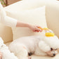 Pet Bath Brush with Long Handle & Shampoo Dispenser