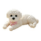 🎁New Arrivals 50% OFF💥Cute Squishy Teddy Dog Stress Relief Toy