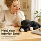 🎁New Arrivals 50% OFF💥Cute Squishy Teddy Dog Stress Relief Toy
