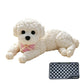 🎁New Arrivals 50% OFF💥Cute Squishy Teddy Dog Stress Relief Toy