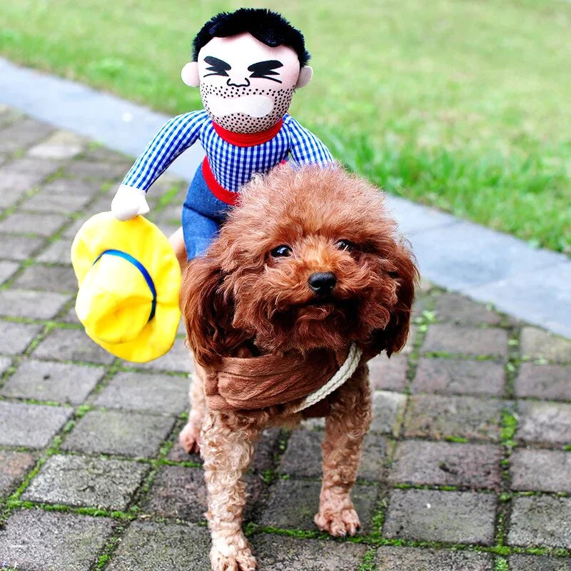Cowboy Equestrian-Style Pet Costume Set