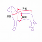 Cowboy Equestrian-Style Pet Costume Set