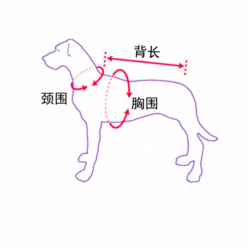 Cowboy Equestrian-Style Pet Costume Set