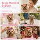Cute Pet Bowknot Hair Clips for Dogs and Cats
