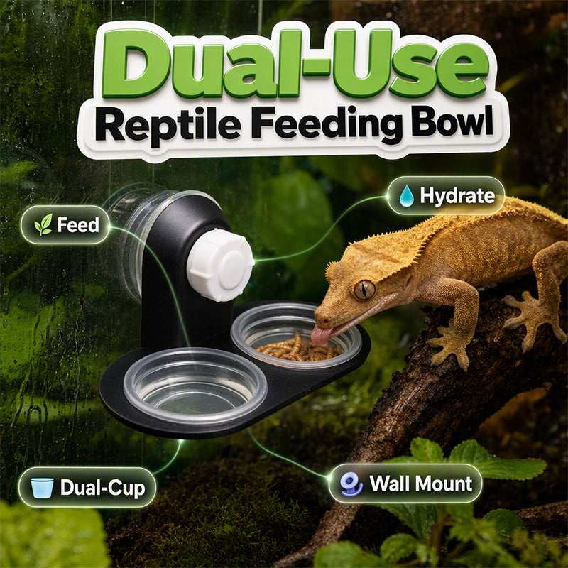 Double Reptile Feeding Ledge with Bowls