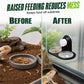 Double Reptile Feeding Ledge with Bowls