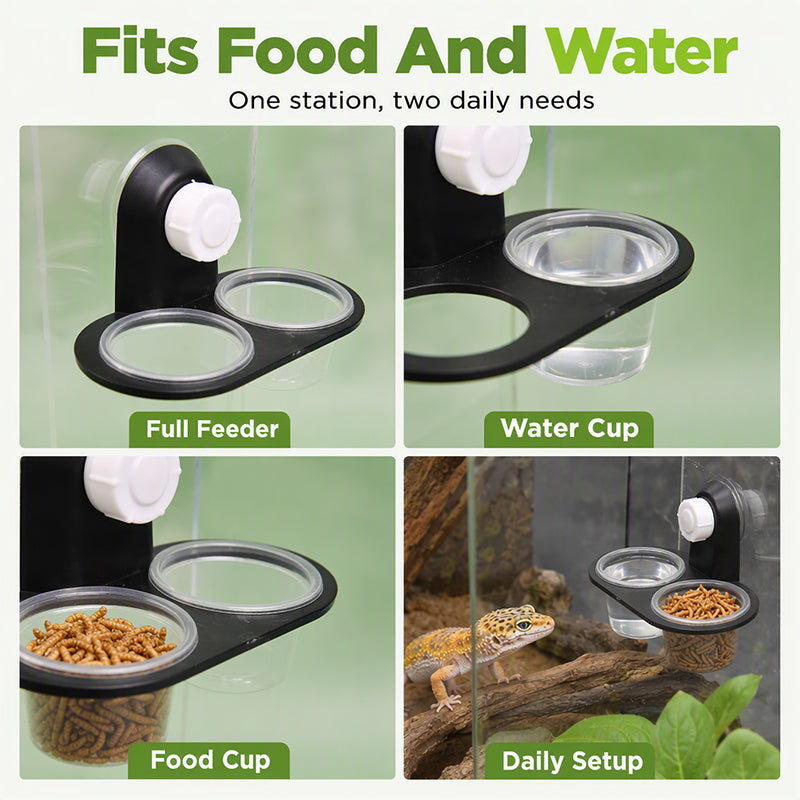 Double Reptile Feeding Ledge with Bowls