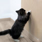 🔥Hot Sale 50% OFF!🐱Cat Scratcher Mat Furniture Protector