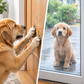 Wireless Touch Activated Pet Doorbell