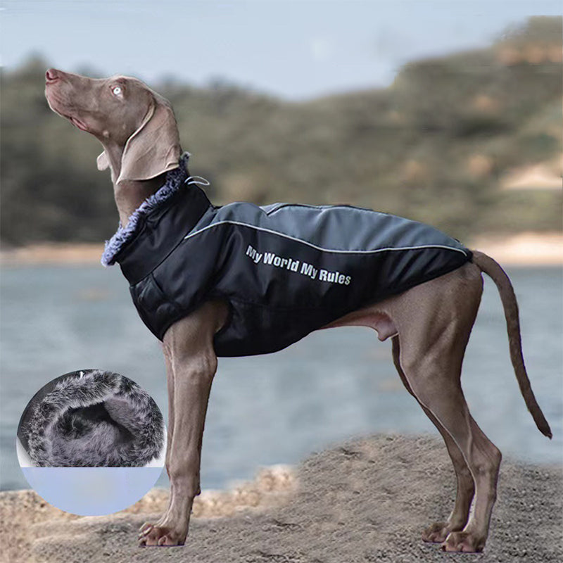 📢📢 50% OFF🐶Waterproof Warm Dog Vest – Cozy, Weather-Resistant Protection for Cold & Rainy Days