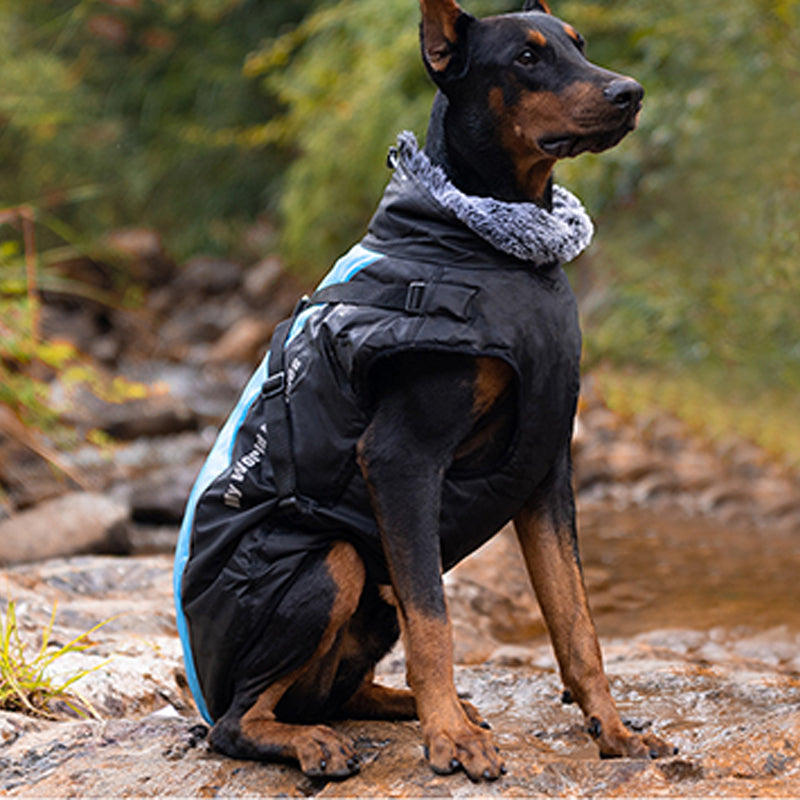 📢📢 50% OFF🐶Waterproof Warm Dog Vest – Cozy, Weather-Resistant Protection for Cold & Rainy Days