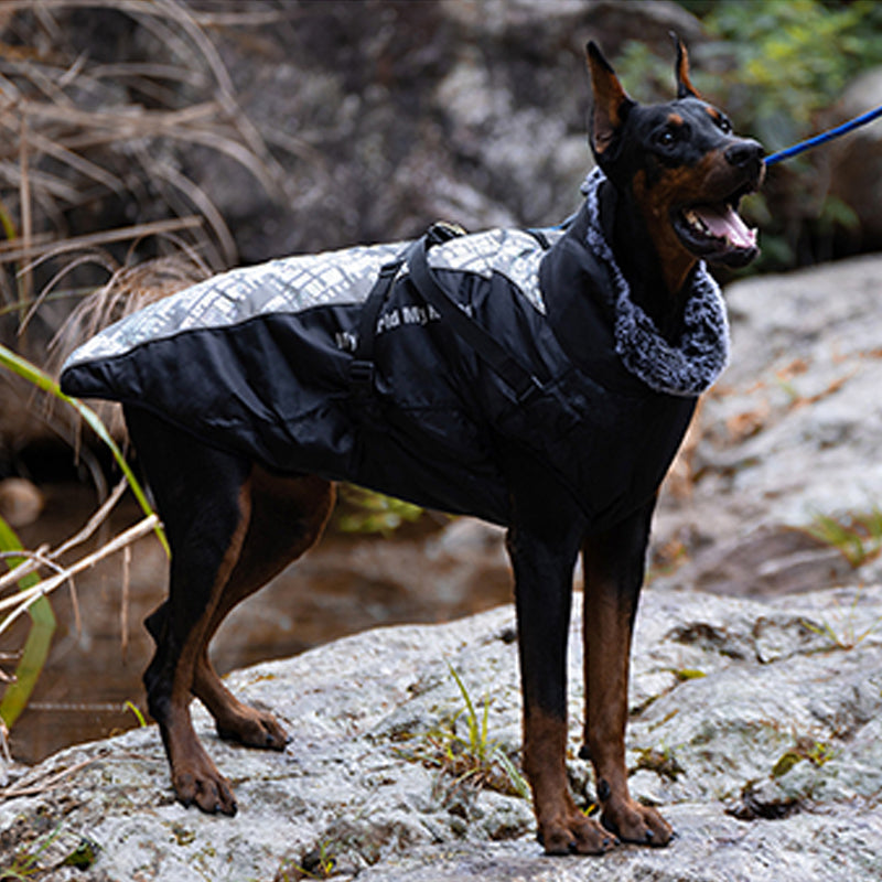 📢📢 50% OFF🐶Waterproof Warm Dog Vest – Cozy, Weather-Resistant Protection for Cold & Rainy Days