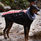 📢📢 50% OFF🐶Waterproof Warm Dog Vest – Cozy, Weather-Resistant Protection for Cold & Rainy Days